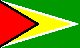 Guyana Bandiera