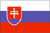 Slovacchia Bandiera