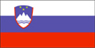 Slovenia Bandiera