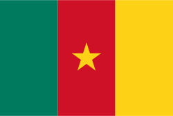 Camerun Bandiera