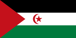 Sahara occidentale Bandiera