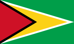 Guyana Bandiera