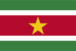 Suriname Bandiera